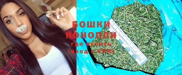 прущие грибы Белоозёрский