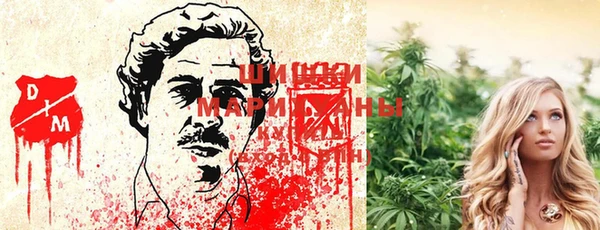 марки lsd Белокуриха