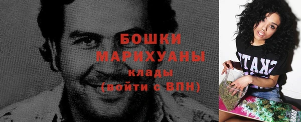 прущие грибы Белоозёрский