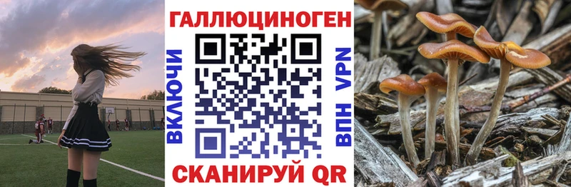 где можно купить наркотик  Малмыж  Галлюциногенные грибы Magic Shrooms 